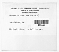 Image Associated With the Occurence